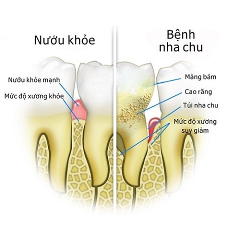 Bệnh Viện Tư Nhân Chuyên Khoa Răng Hàm Mặt Mỹ Thiện